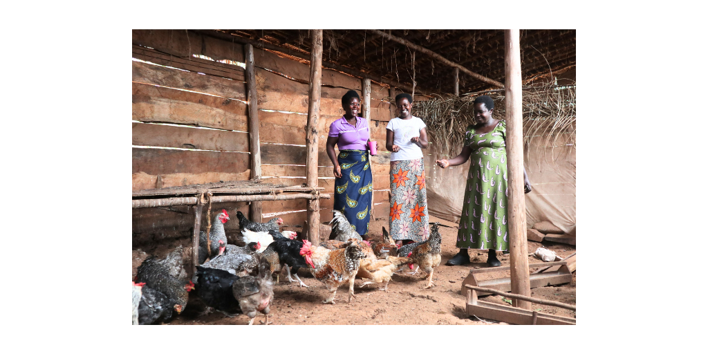 women with chickens